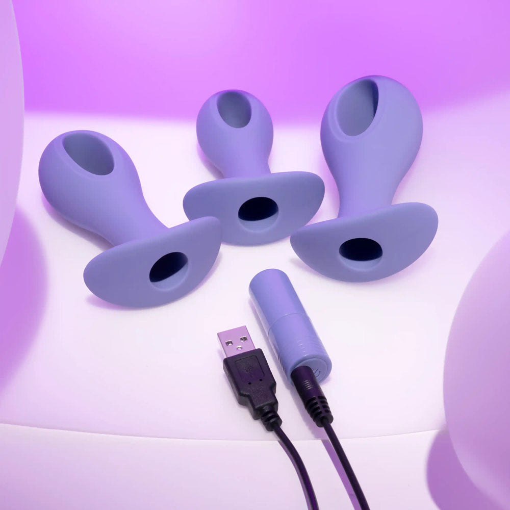 Evolved HOLE PUNCH PLUG SET - Purple Butt Plugs with Interchangeable Bullet - Set of 3 Sizes