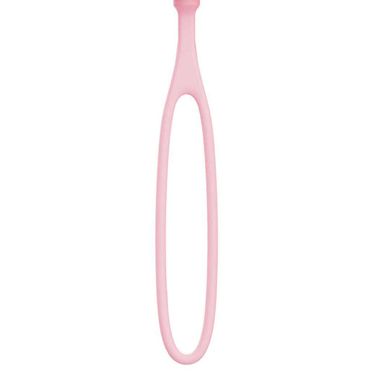 Adam & Eve PILLOW TALK EGG - Pink USB Rechargeable Vibrating Egg with Wireless Remote Control