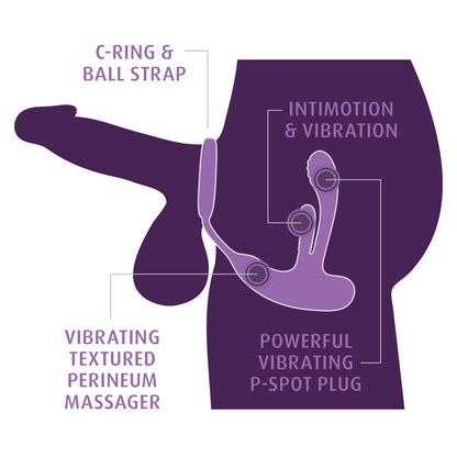 Anal Fantasy Elite Ass-Gasm intiMotion - Black USB Rechargeable Quad Motor Prostate Massager with Remote